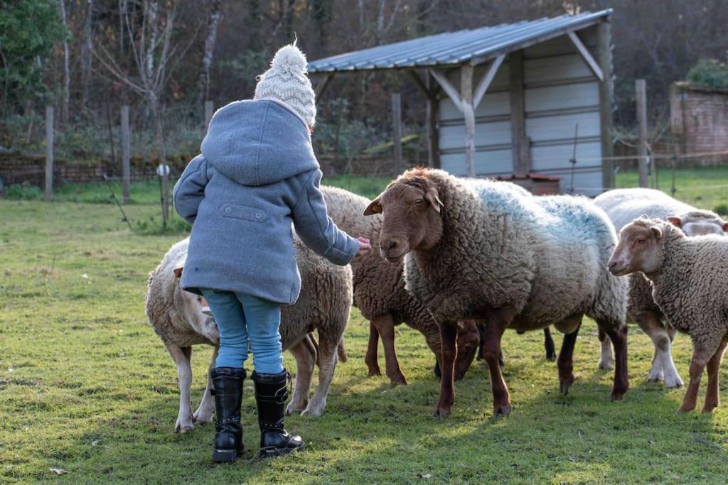 Maison Au Milieu Des Bois Et Des Animaux Jouy-le-Potier Εξωτερικό φωτογραφία